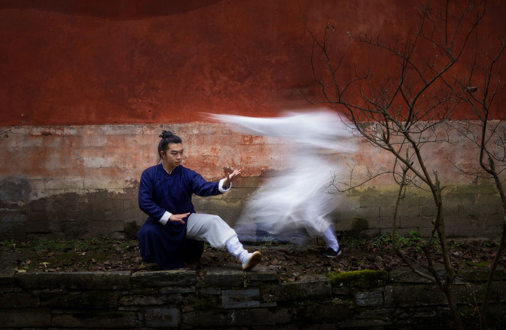 Zen Master Motion Blur by Dennis Zhang — canvas wall art
