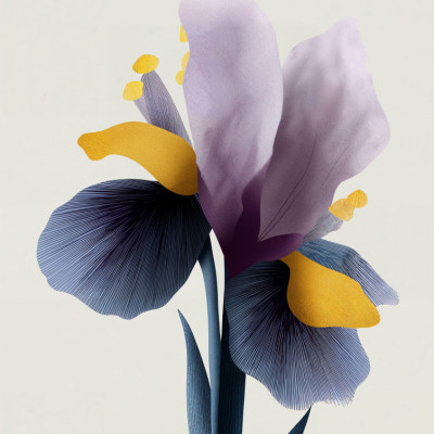 Iris Elegance
