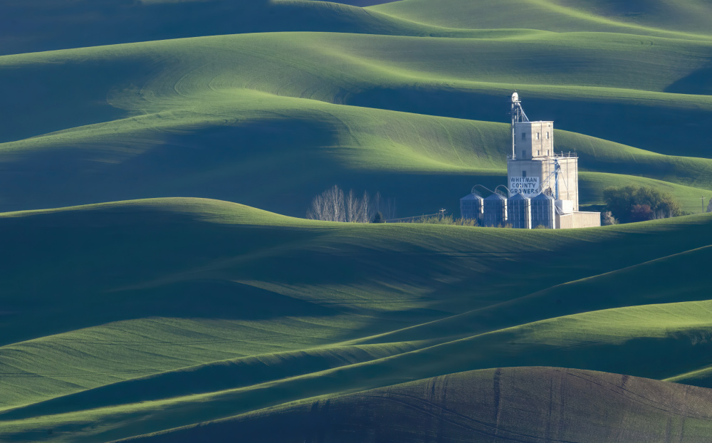 Green Hills Landscape by Feng Qin — canvas wall art