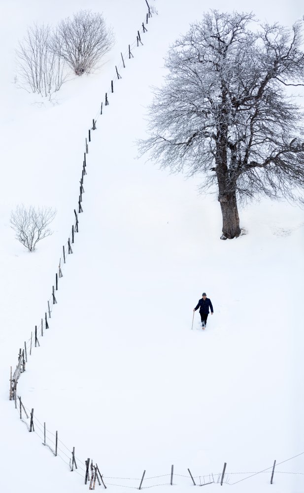 Winter Trek Solitude by durmusceylan — canvas wall art
