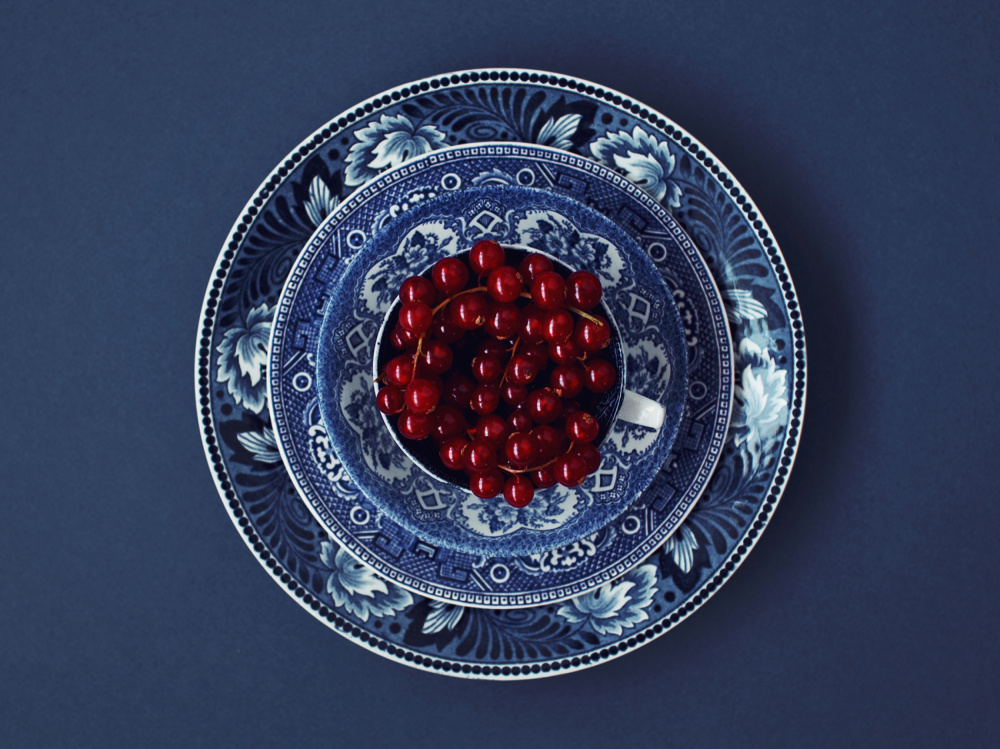 Classic Blue Currants by Masha Bakker Matijevic — canvas wall art