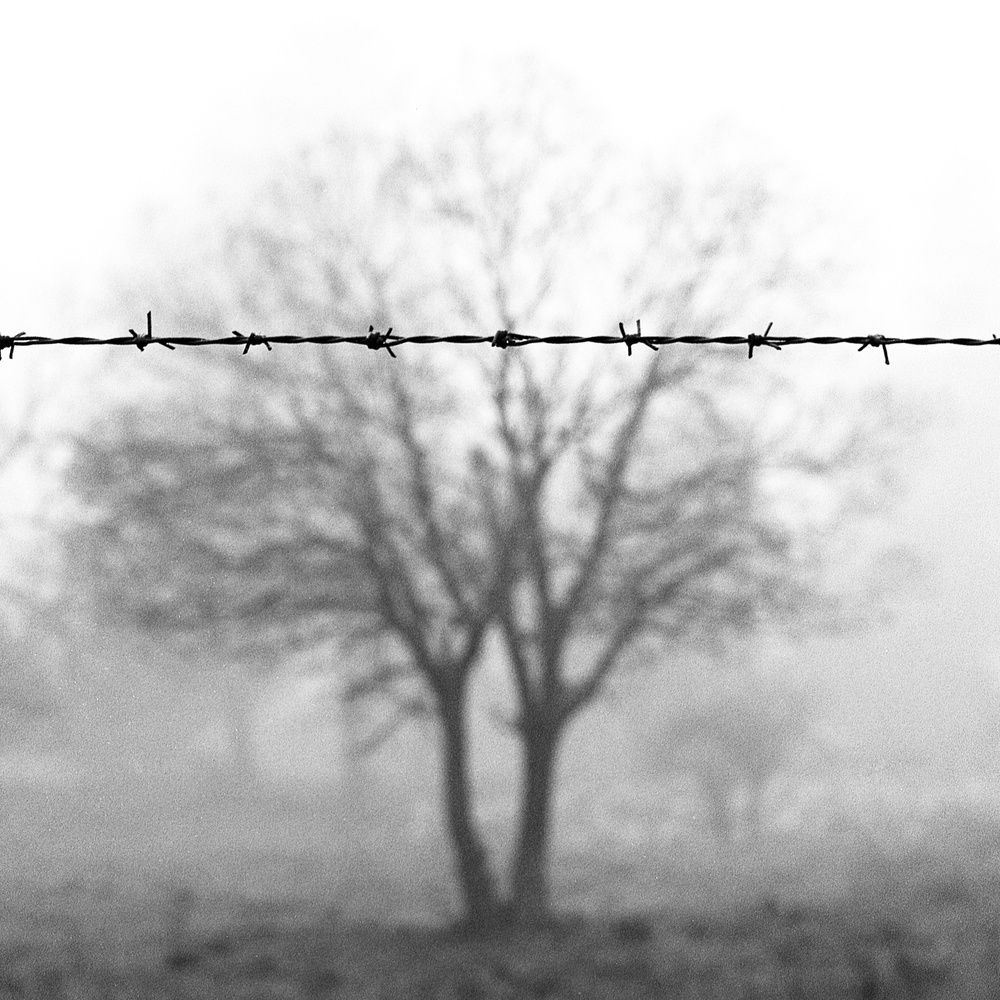 Barbed Wire Fog by Wagdi Kala — canvas wall art