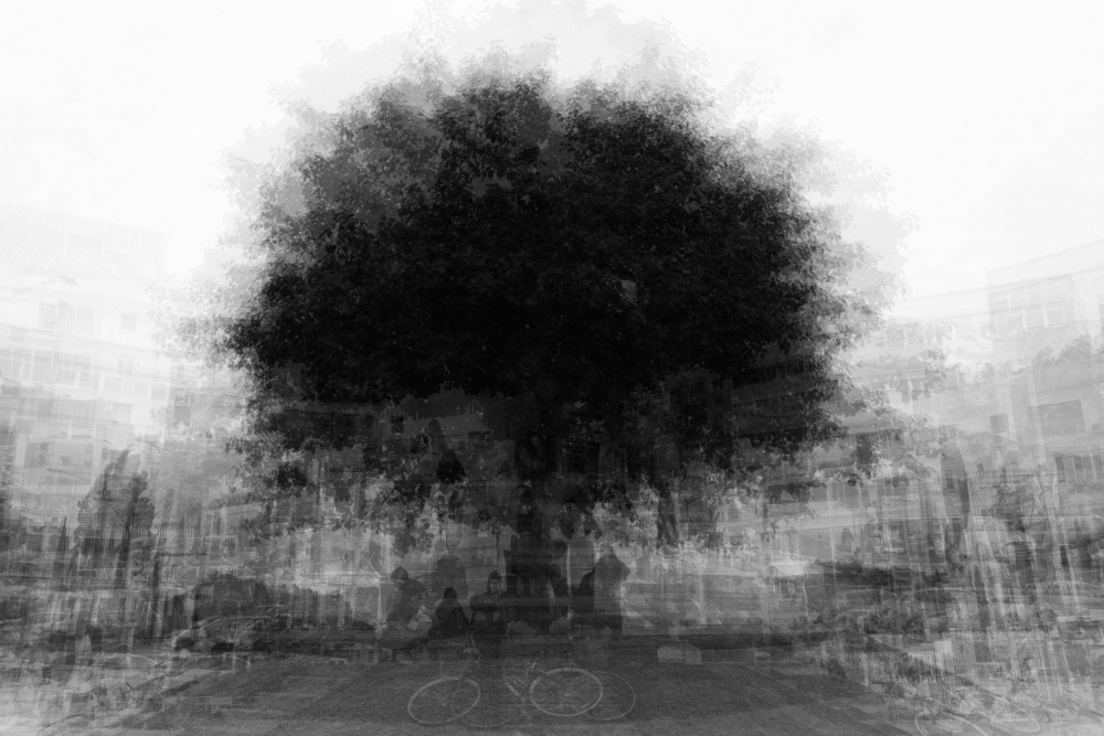 Dreamy Urban Tree by Joshua Raif — canvas wall art