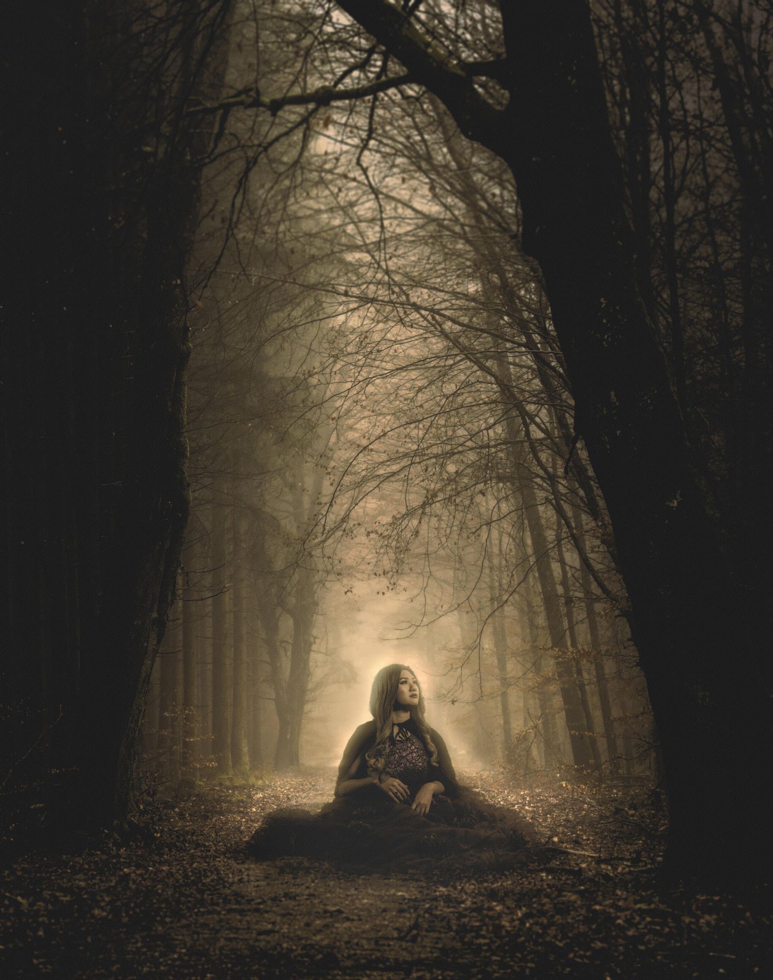 Dark Forest by kazumaru_photo