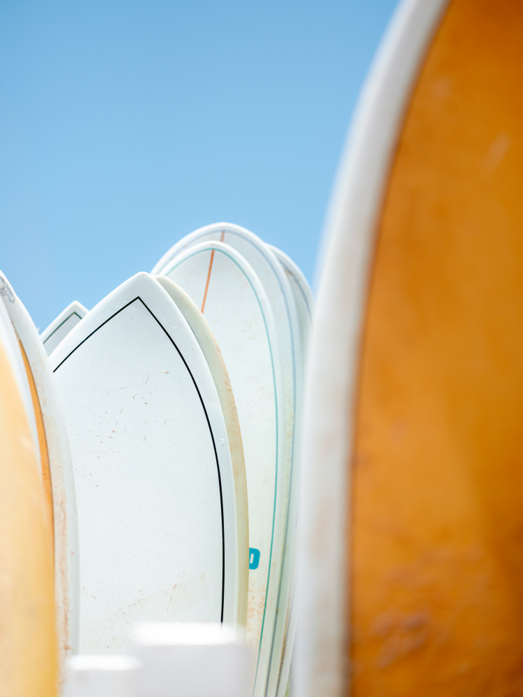 Surf Vibes by Raisa Zwart — canvas wall art