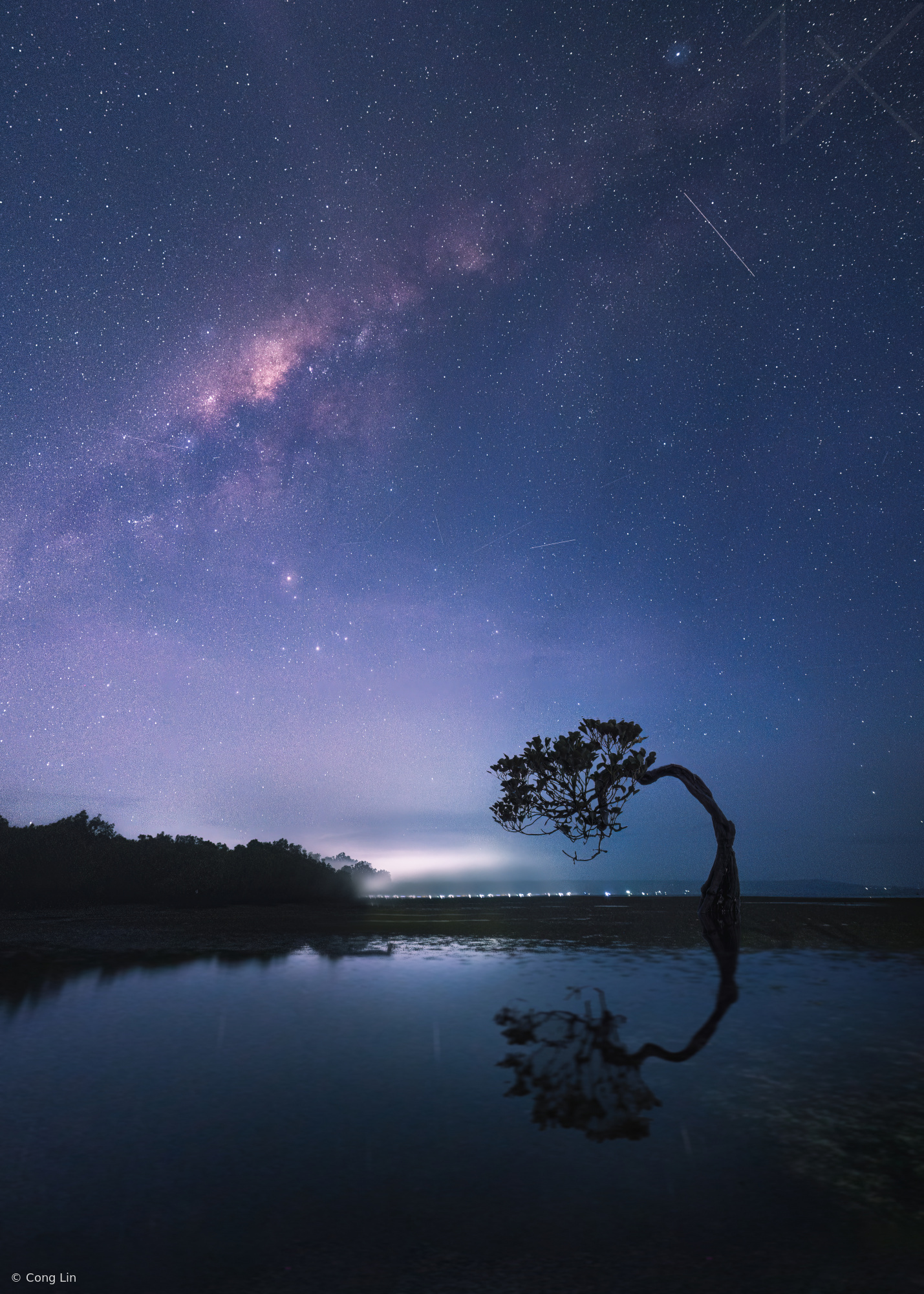 Dancing trees under the milky way