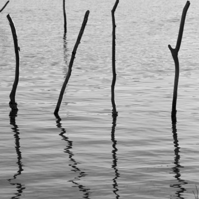 Sticks and Shadows