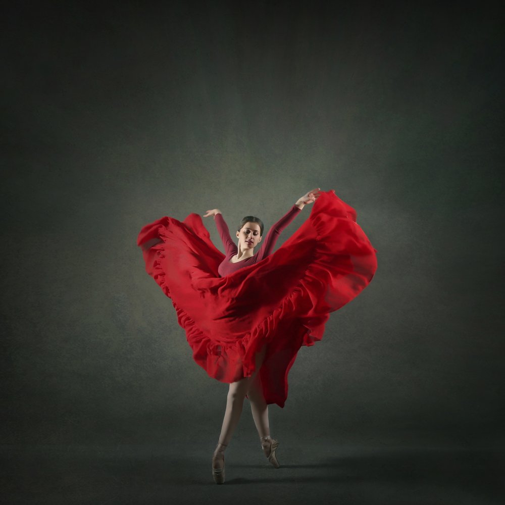 Dramatic Red Dance by Moein Hasheminasab — canvas wall art