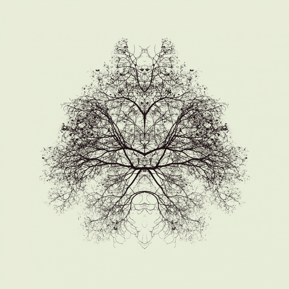 Mystic Tree Symmetry by Nadav Jonas — canvas wall art