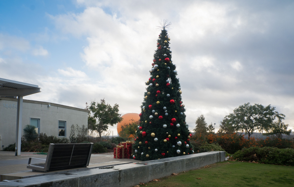 Festive Outdoor Christmas Tree by GuruShots — canvas wall art