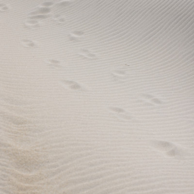 Footprints in Soft Sand