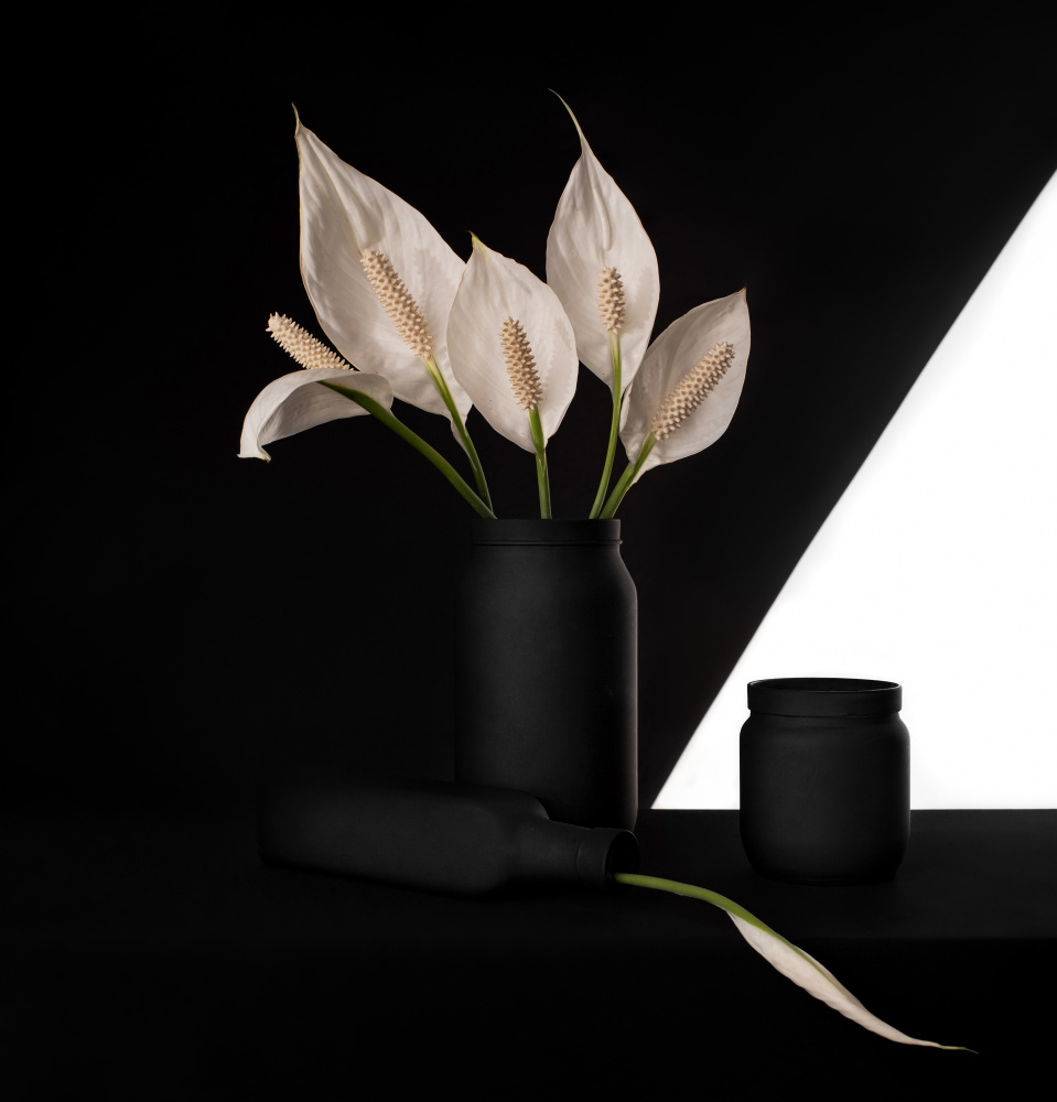 Elegant Peace Lily Contrast by Margareth Perfoncio — canvas wall art