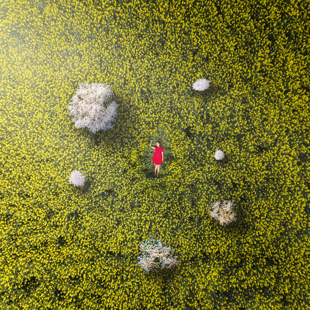 Red Dress Golden Field by Martin Marcisovsky — canvas wall art