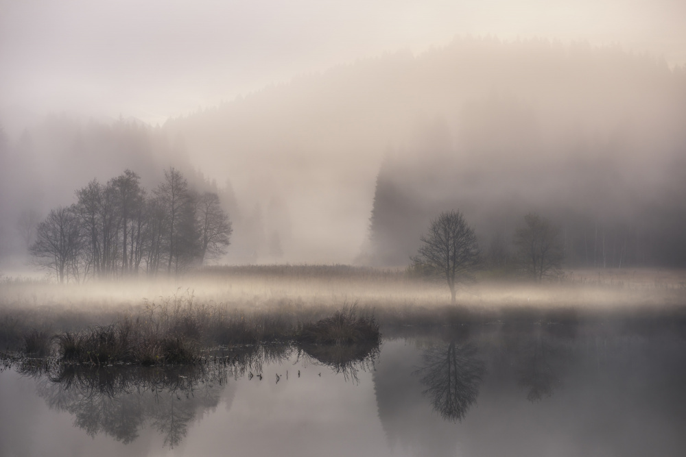 Misty Lake Morning by Nina Pauli — canvas wall art