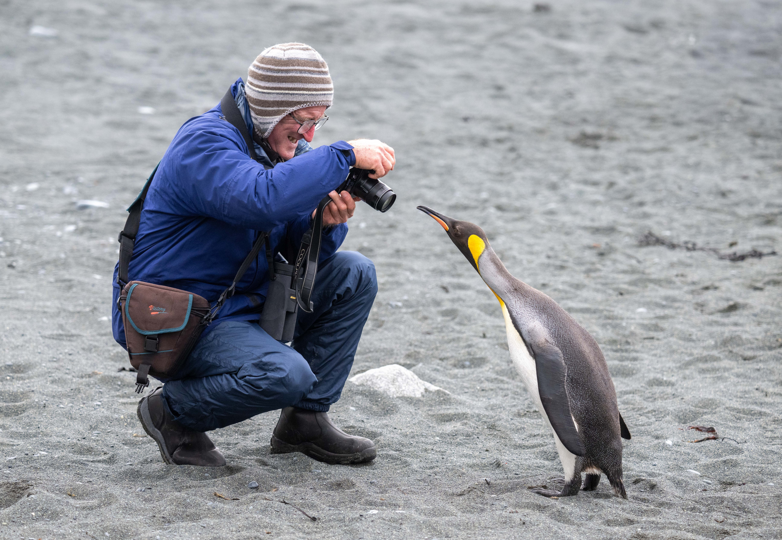 Man and pinguin