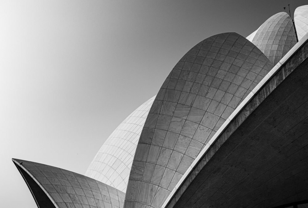 Lotus Temple Curves by Shobhit Chawla — canvas wall art