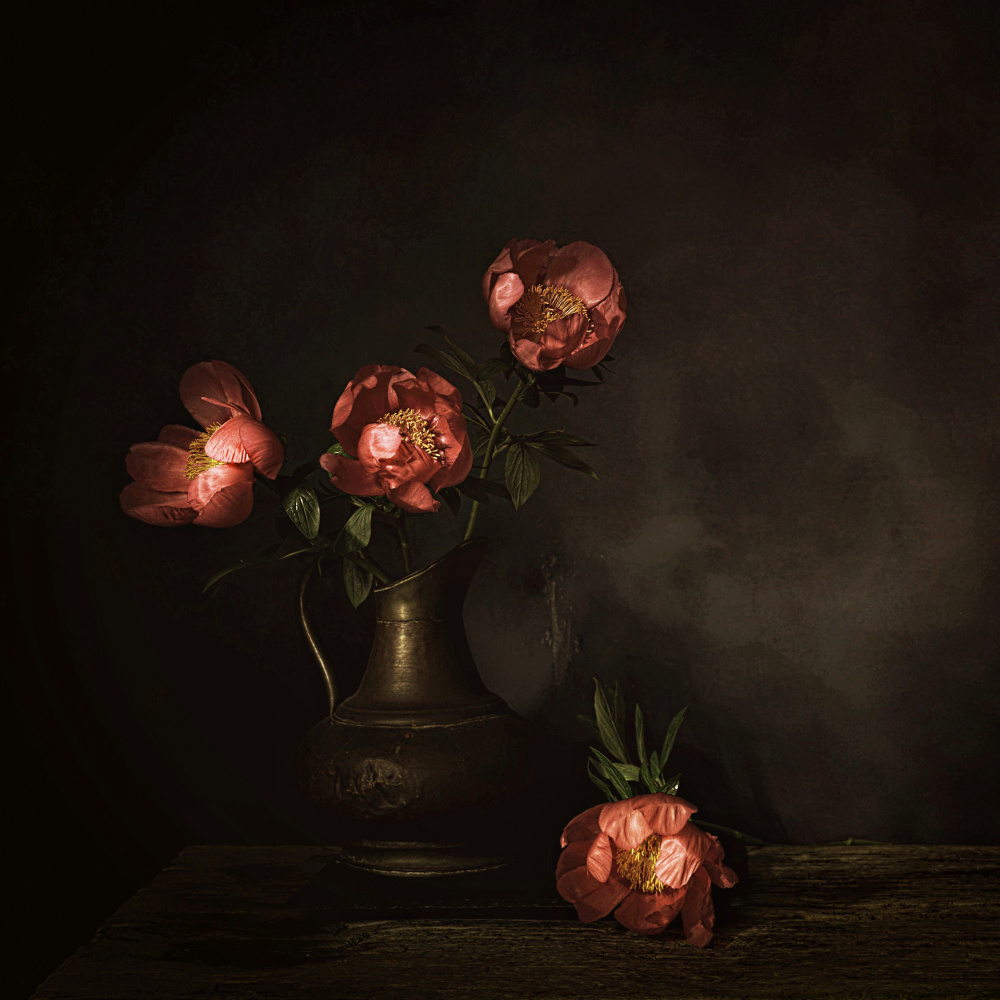 Deep Red Peony Blooms by Saskia Dingemans — canvas wall art