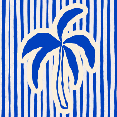 Blue Striped Banana