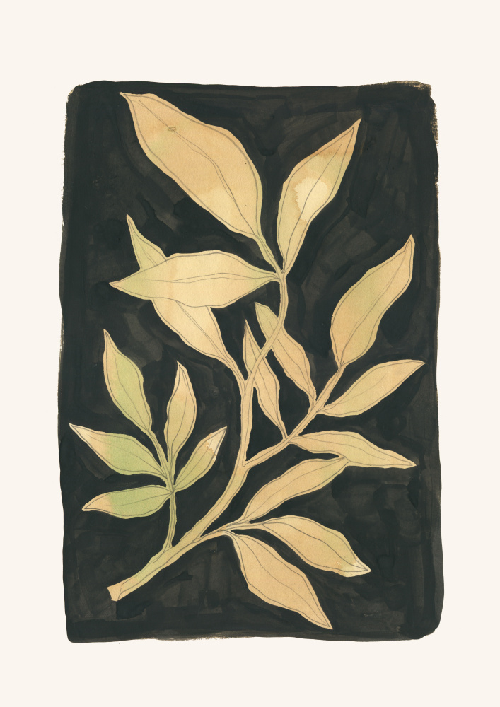 Dark Botanical Foliage by Catalina Somolinos — canvas wall art
