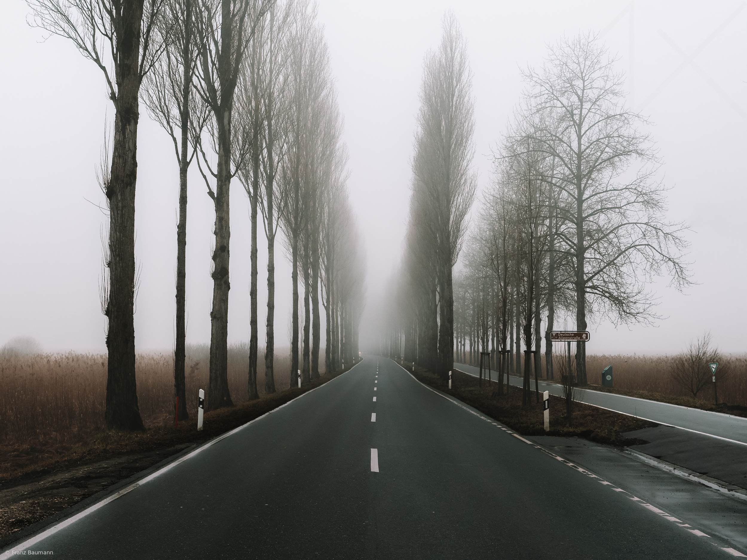 Fog