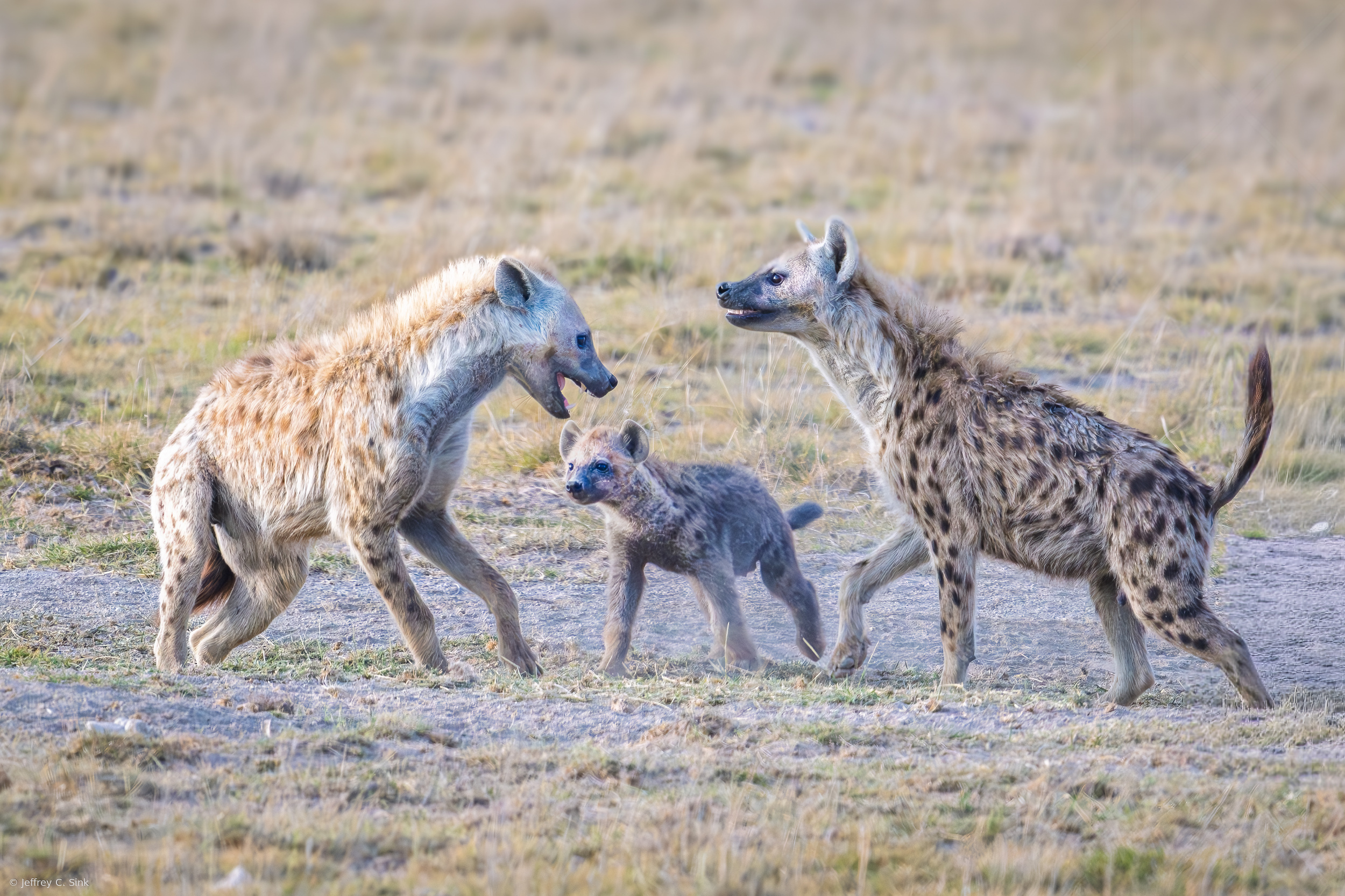 A minor family squabble