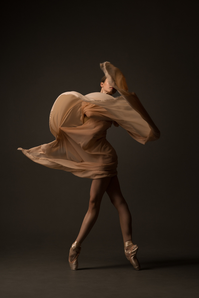 Graceful Dancer in Motion by Natalya Sleta — canvas wall art