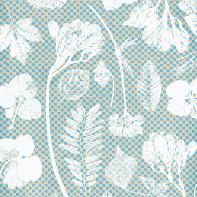 White Botanical Silhouettes