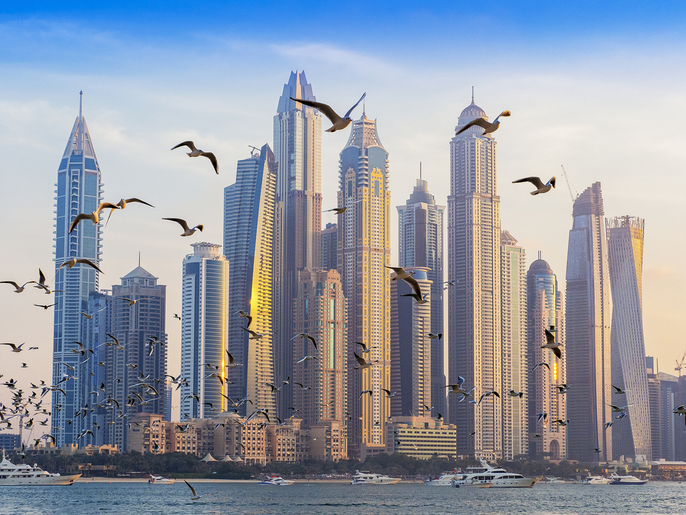 Dubai Marina Birds Flying by Liza Simonsson — canvas wall art