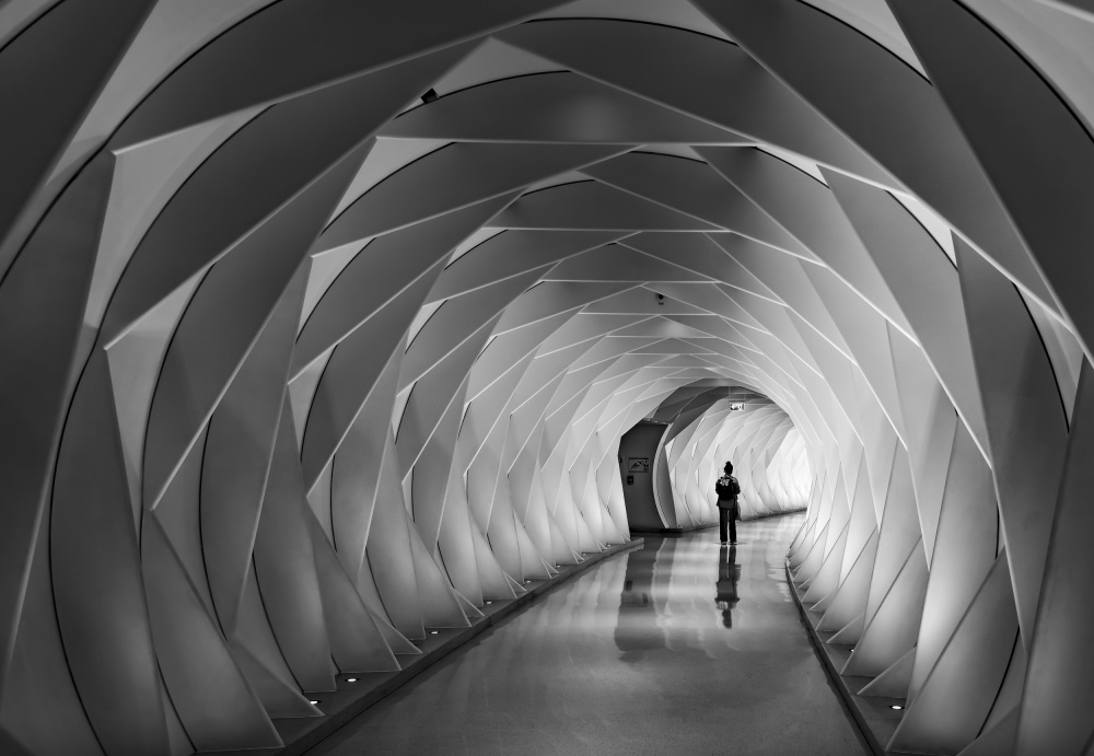 Solitary Walk Through Geometry by Sus Bogaerts — canvas wall art