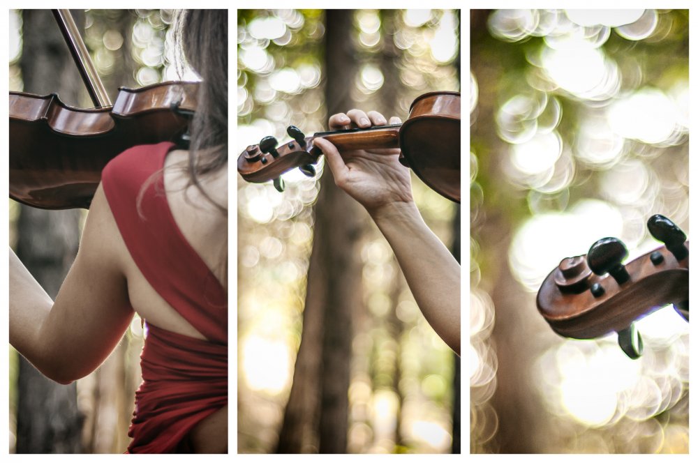 Violin Melody in Nature by Dogan Kokdemir — canvas wall art
