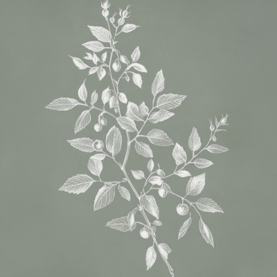 Delicate Berry Branch