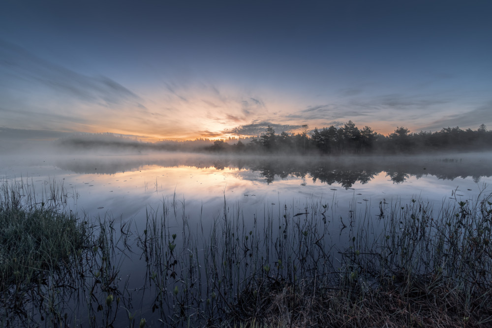 Misty Lake Sunrise by Benny Pettersson — canvas wall art