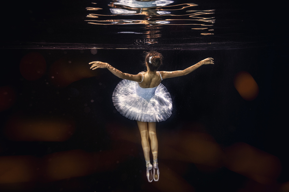 Graceful Underwater Dancer by Petr Kleiner — canvas wall art