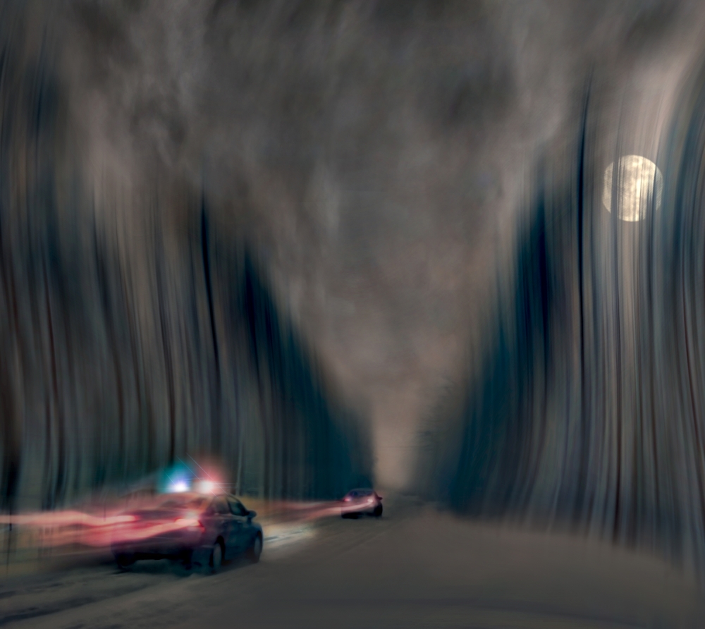 Night Forest Chase by David Senechal Photographie (polydactyle) — canvas wall art