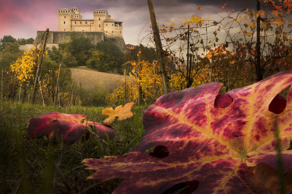 Vibrant Autumn Vineyard Castle by Alberto Ghizzi Panizza — canvas wall art