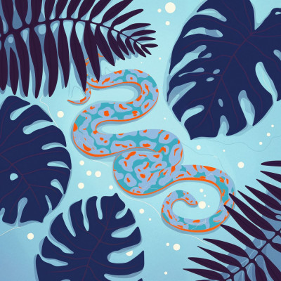 Jungle Whispers