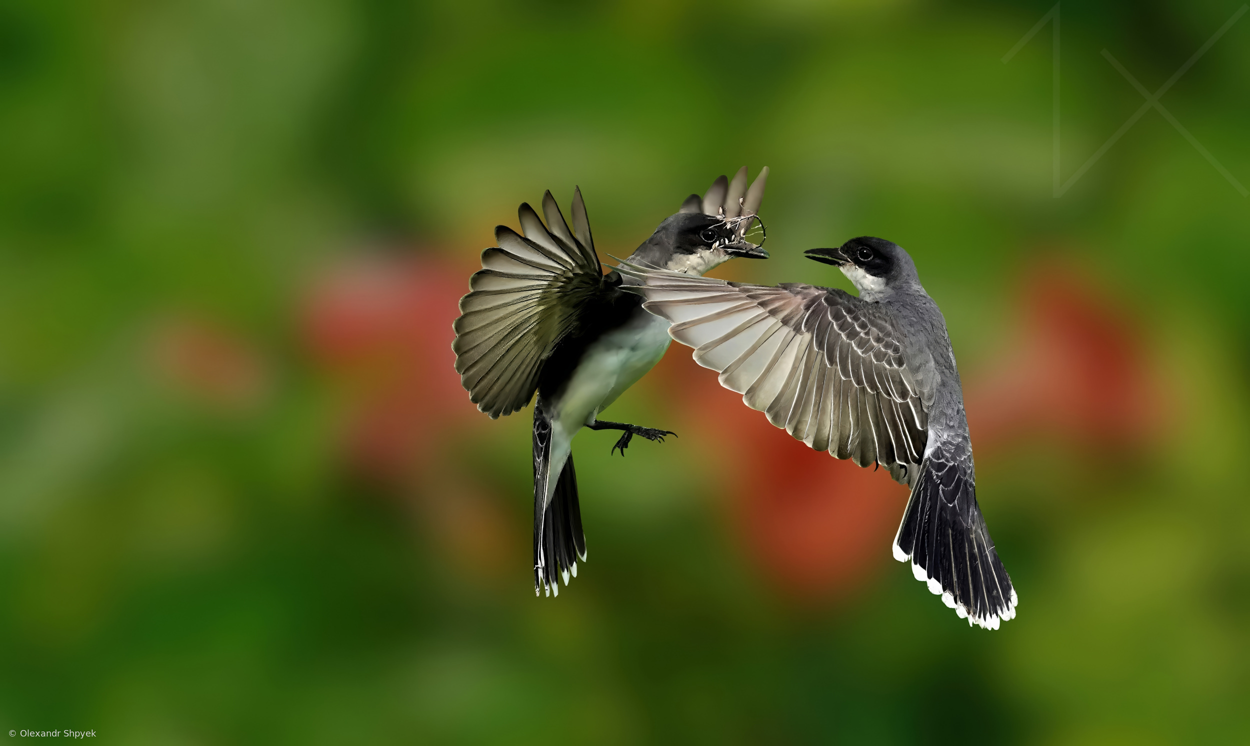 Air dance