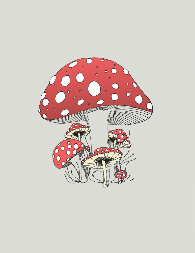 Fairytale Mushroom Cluster by Nicholas — canvas wall art