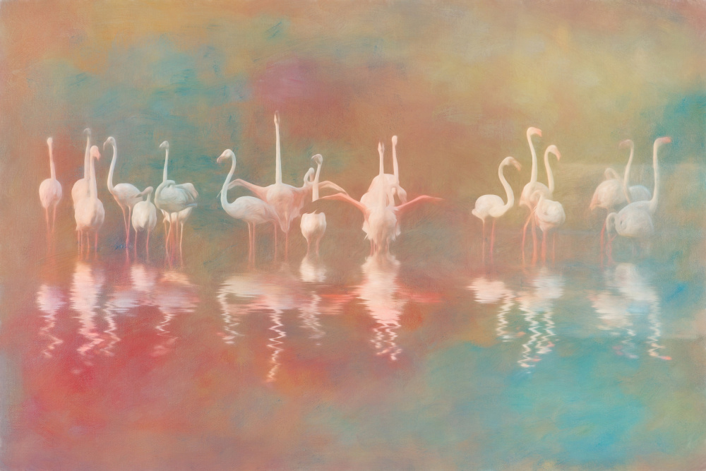 Pre-flight Check by Cheryl Eagers — canvas wall art