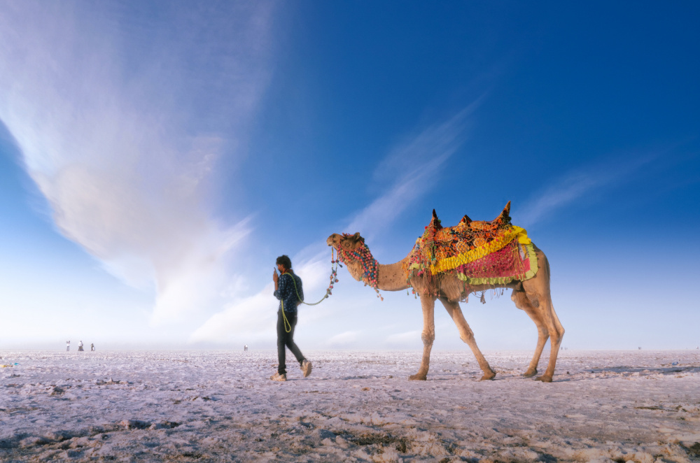White Desert Camel Journey by Rahul Wedpathak — canvas wall art