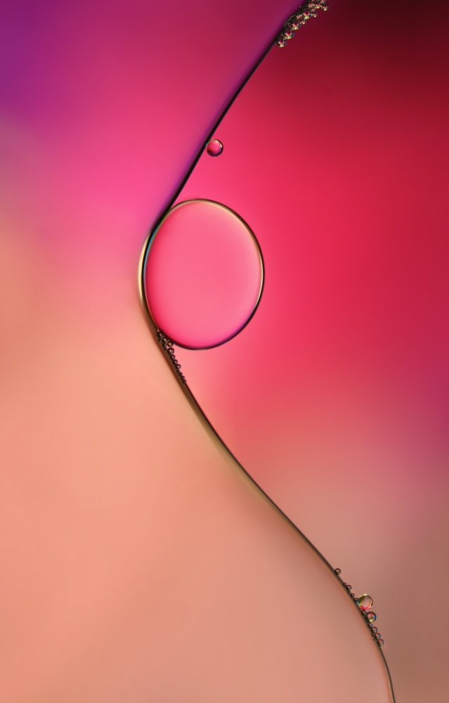 Magenta Fluid Abstract by Heidi Westum — canvas wall art