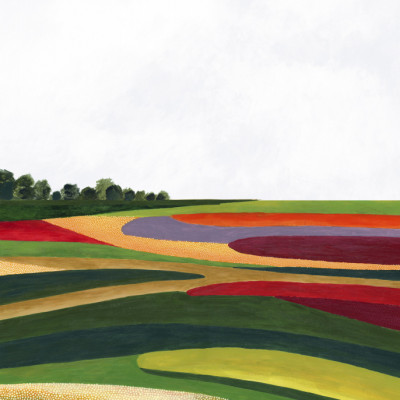 Colors in the meadow