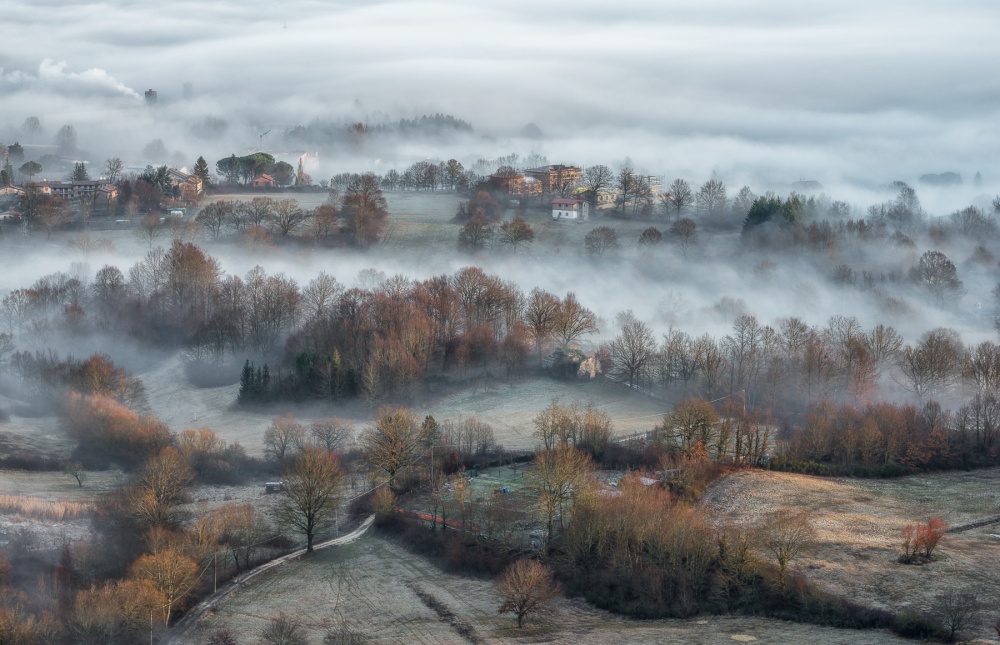 Misty Winter Morning by Riccardo Lucidi — canvas wall art