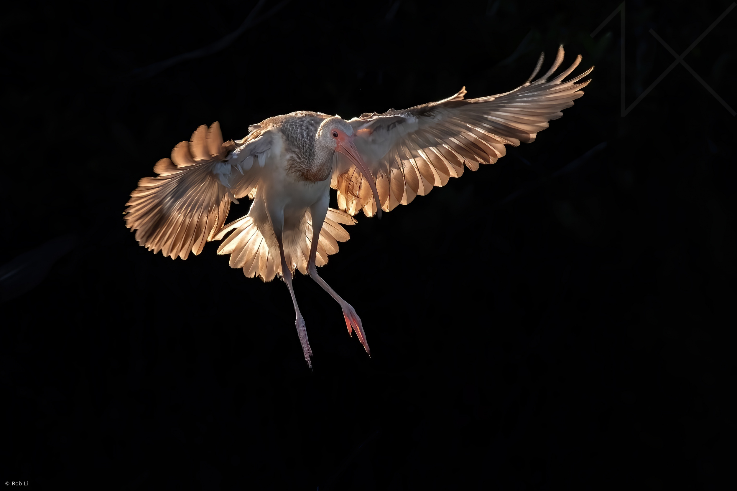 Landing