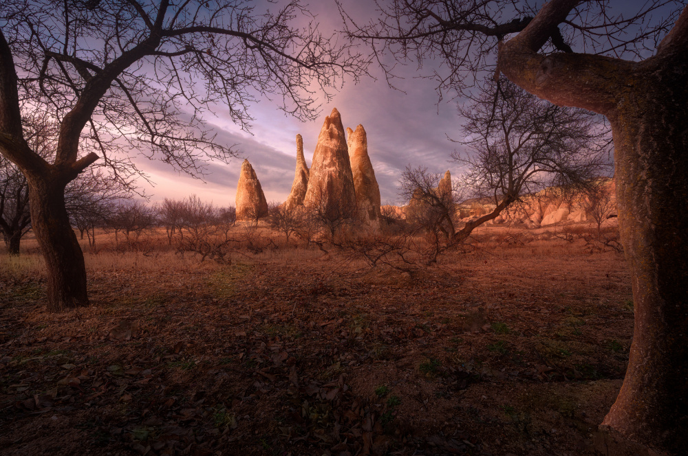 Twilight Rock Spires by SANDEEP MATHUR — canvas wall art