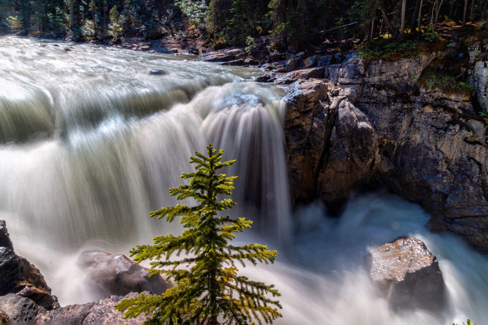 Powerful Forest Waterfall by GuruShots — canvas wall art