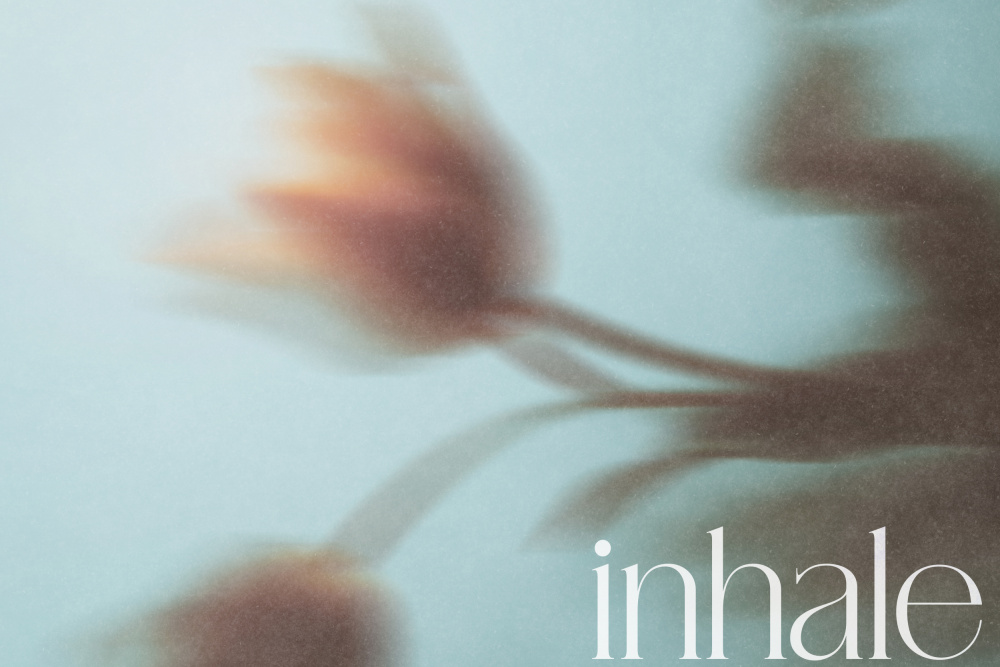 Soft Floral Dream by Treechild — canvas wall art