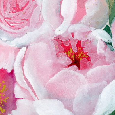 Soft Pink Peony Bloom