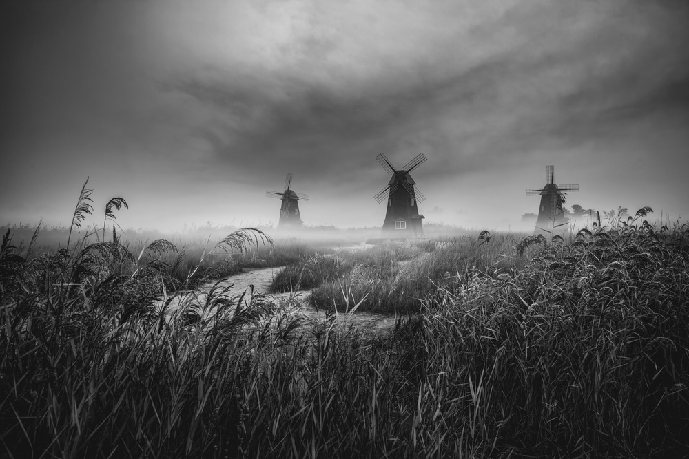Misty Windmills Landscape by Tiger Seo — canvas wall art