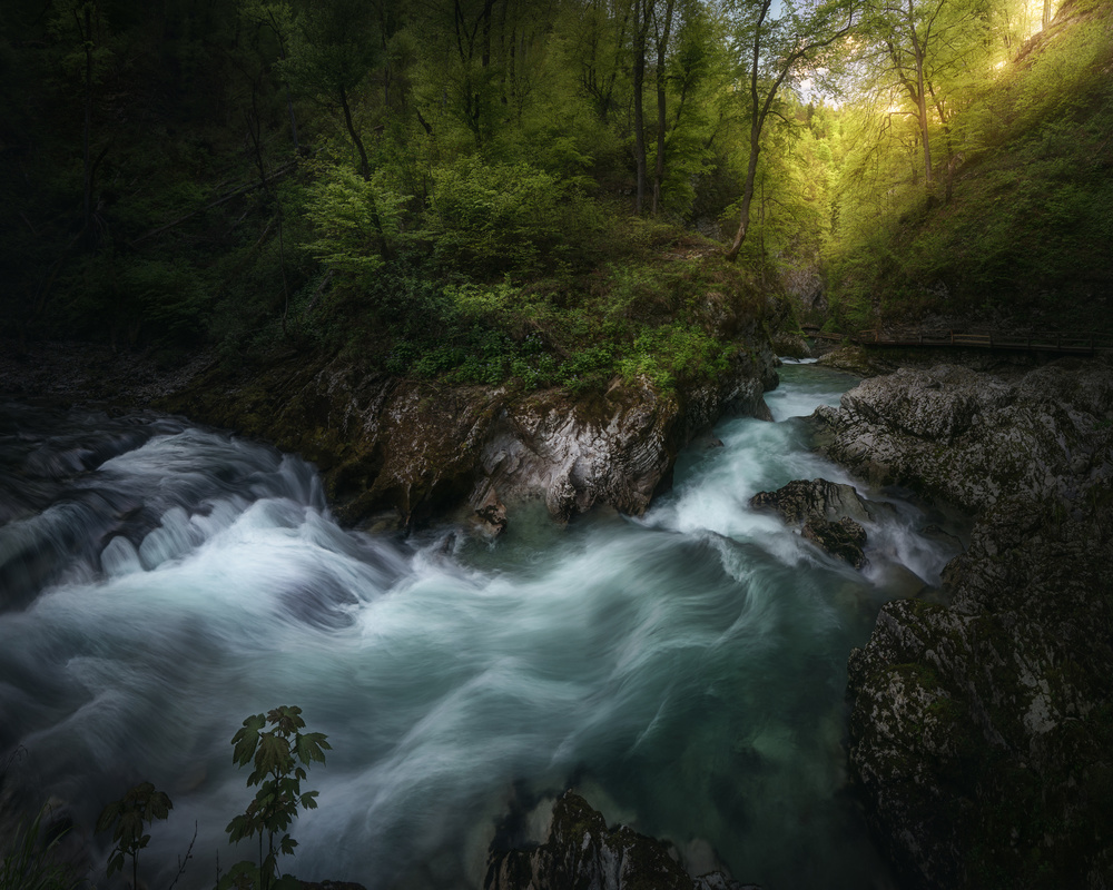Vibrant Forest River Flow by Juan Pablo de Miguel — canvas wall art